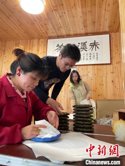 資料圖：杜贏(左二)在整理白茶餅?！×执阂?攝